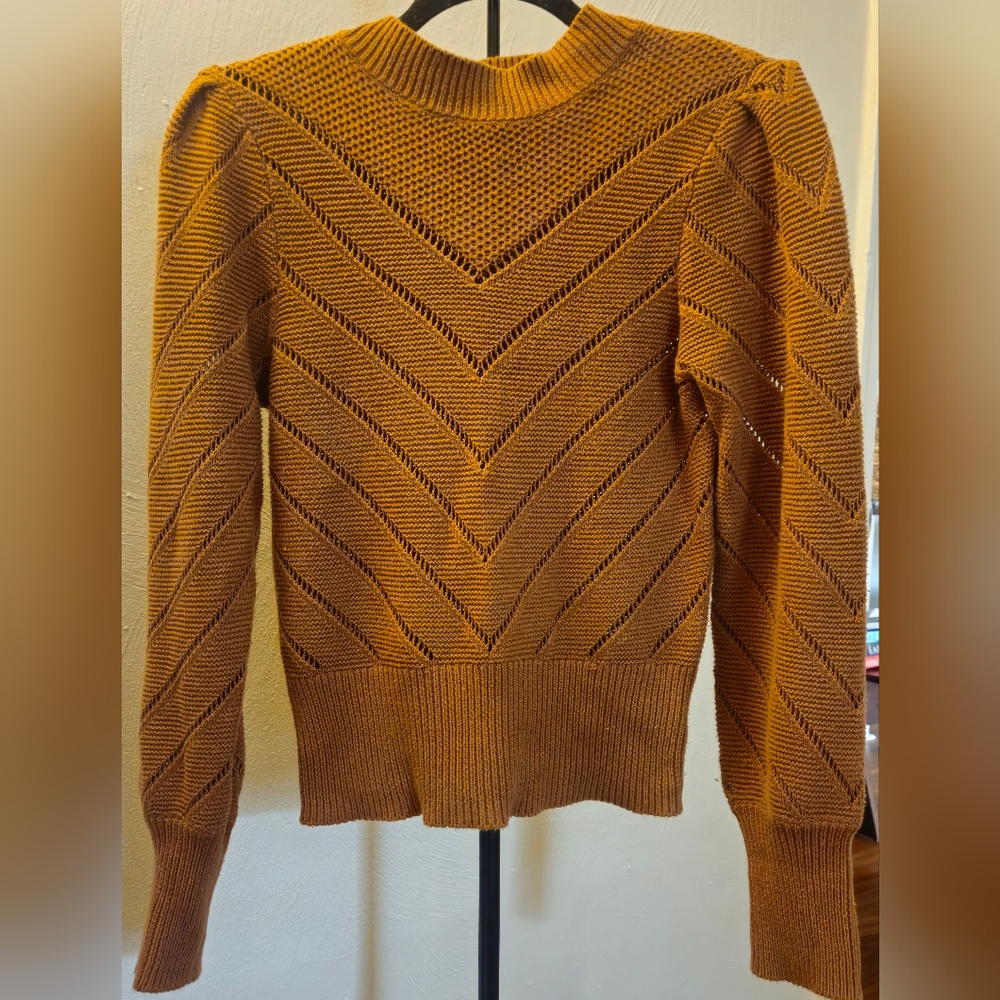 Express Women's Sweater in Camel